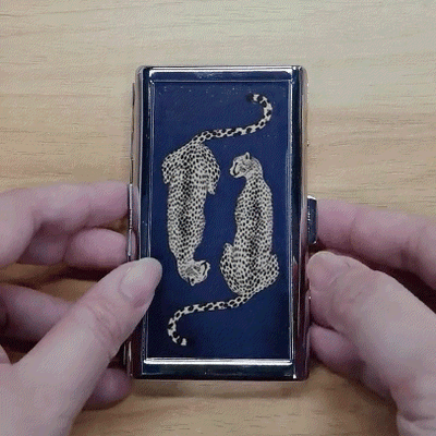 Provenance case detail